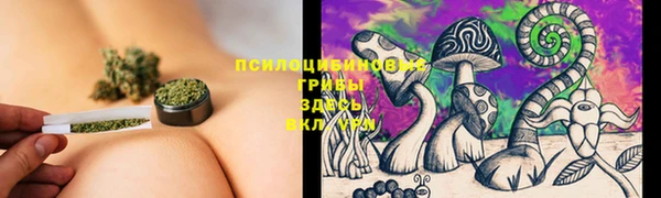 стафф Абдулино